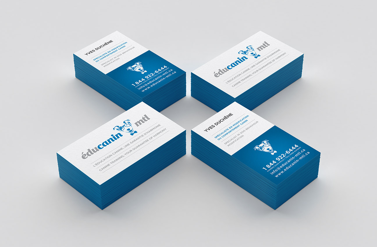 educanin_carte