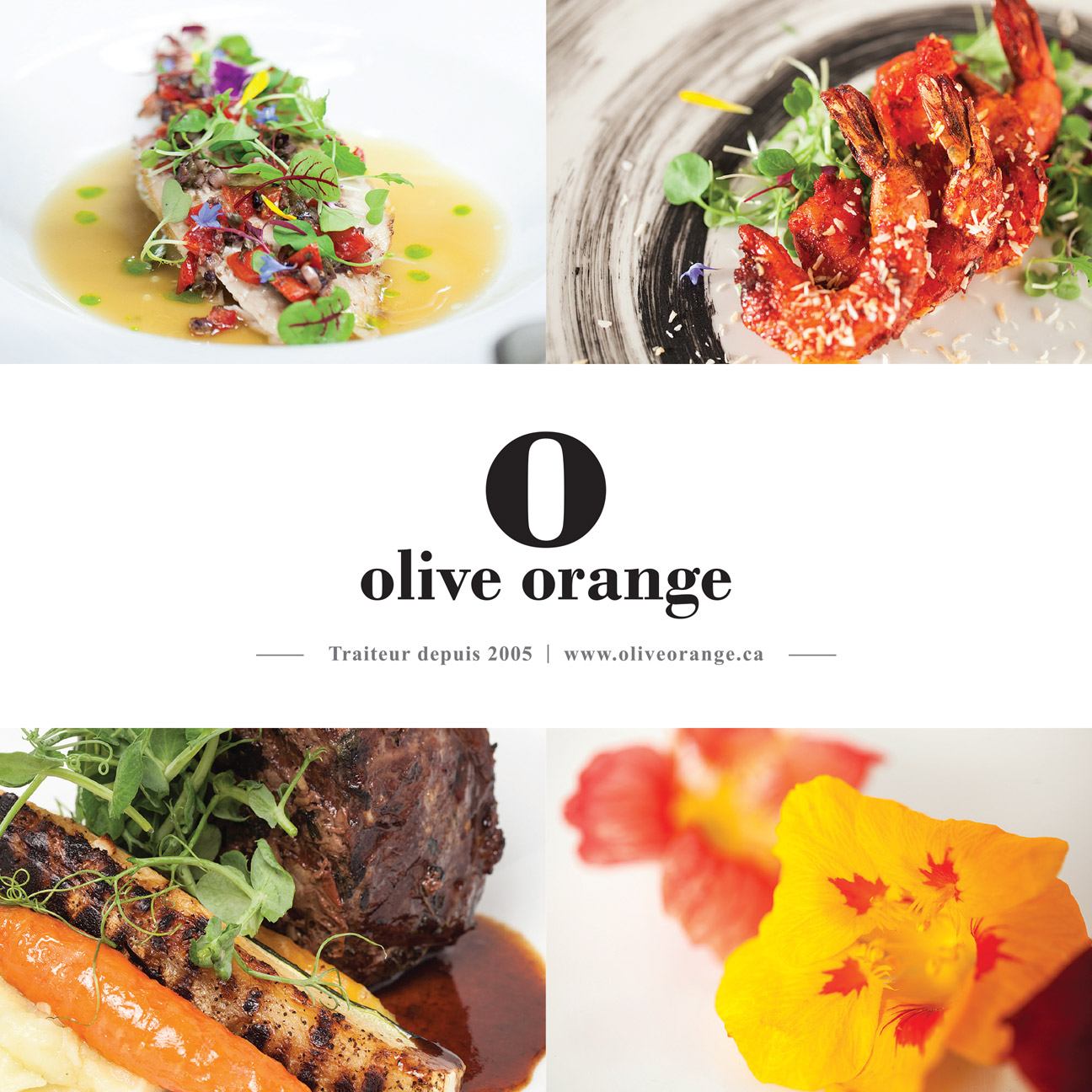 olive_orange_depliant