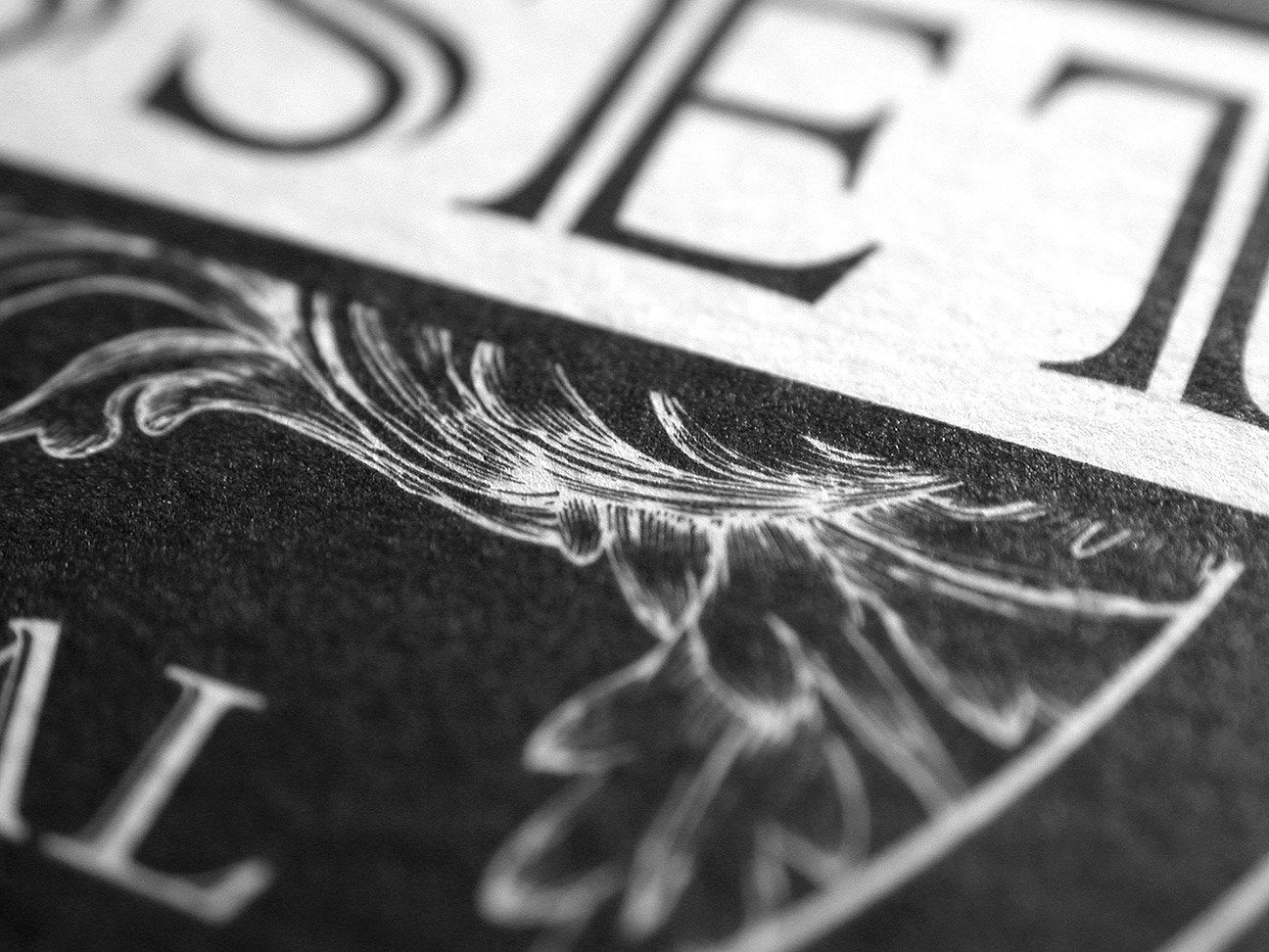 brisset_coaster_macro
